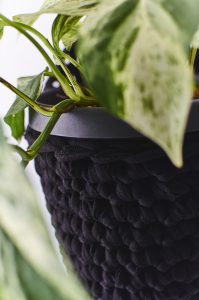 Groen-2-008AP-199×300