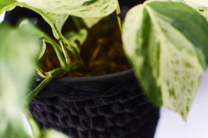 Groen-2-017AP-300×199