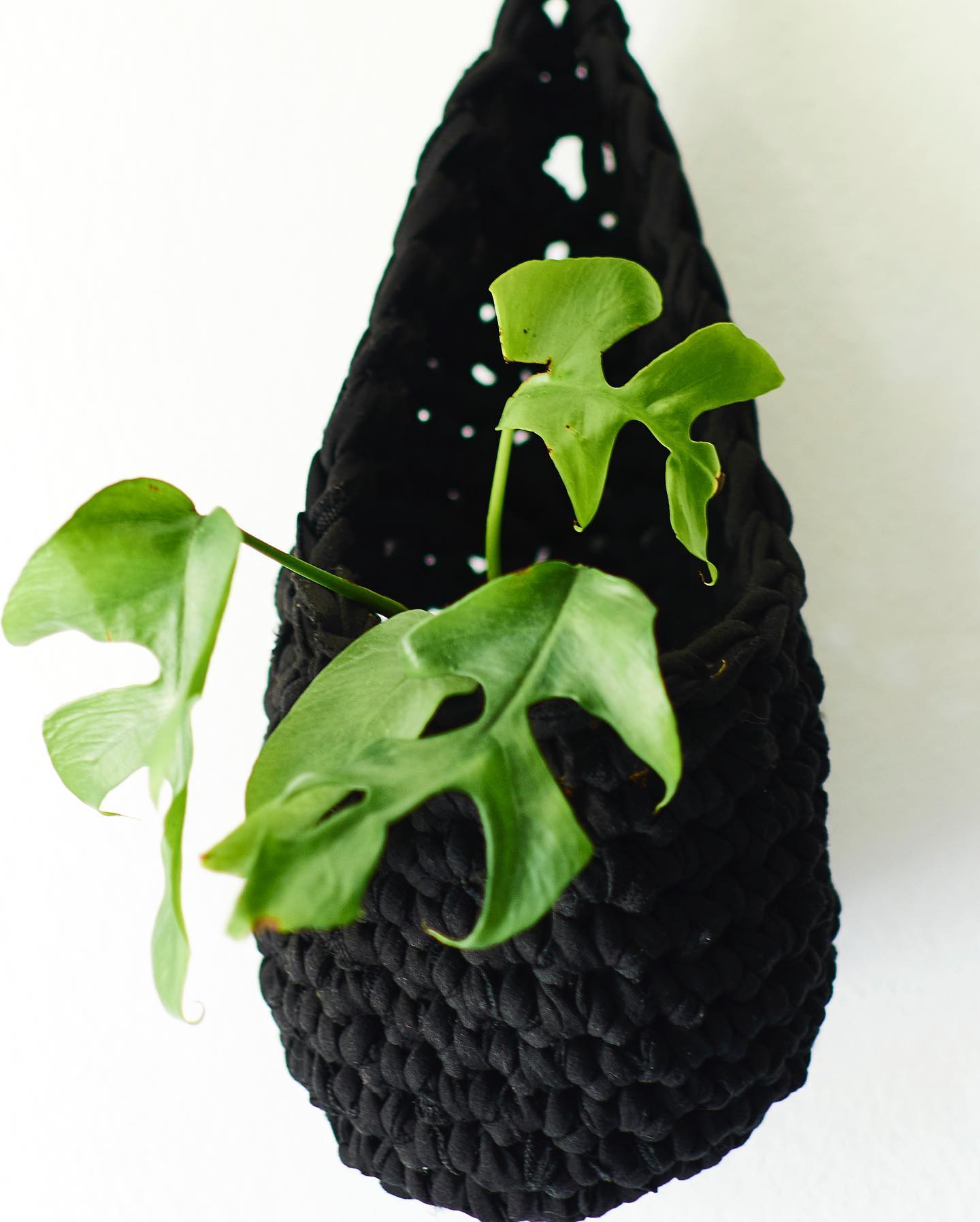 Wall Hanging Pod