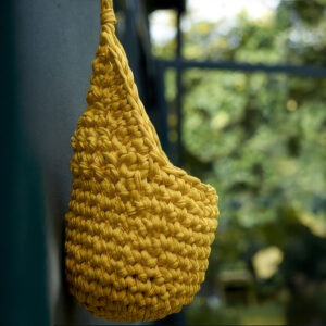 Wall Plant Pods - Marigold