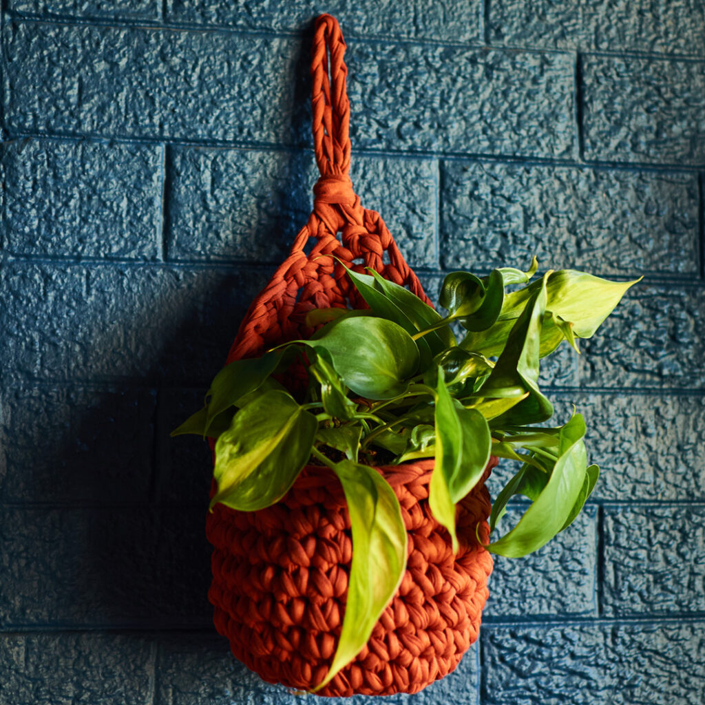Wall Plant Pod - Terracotta